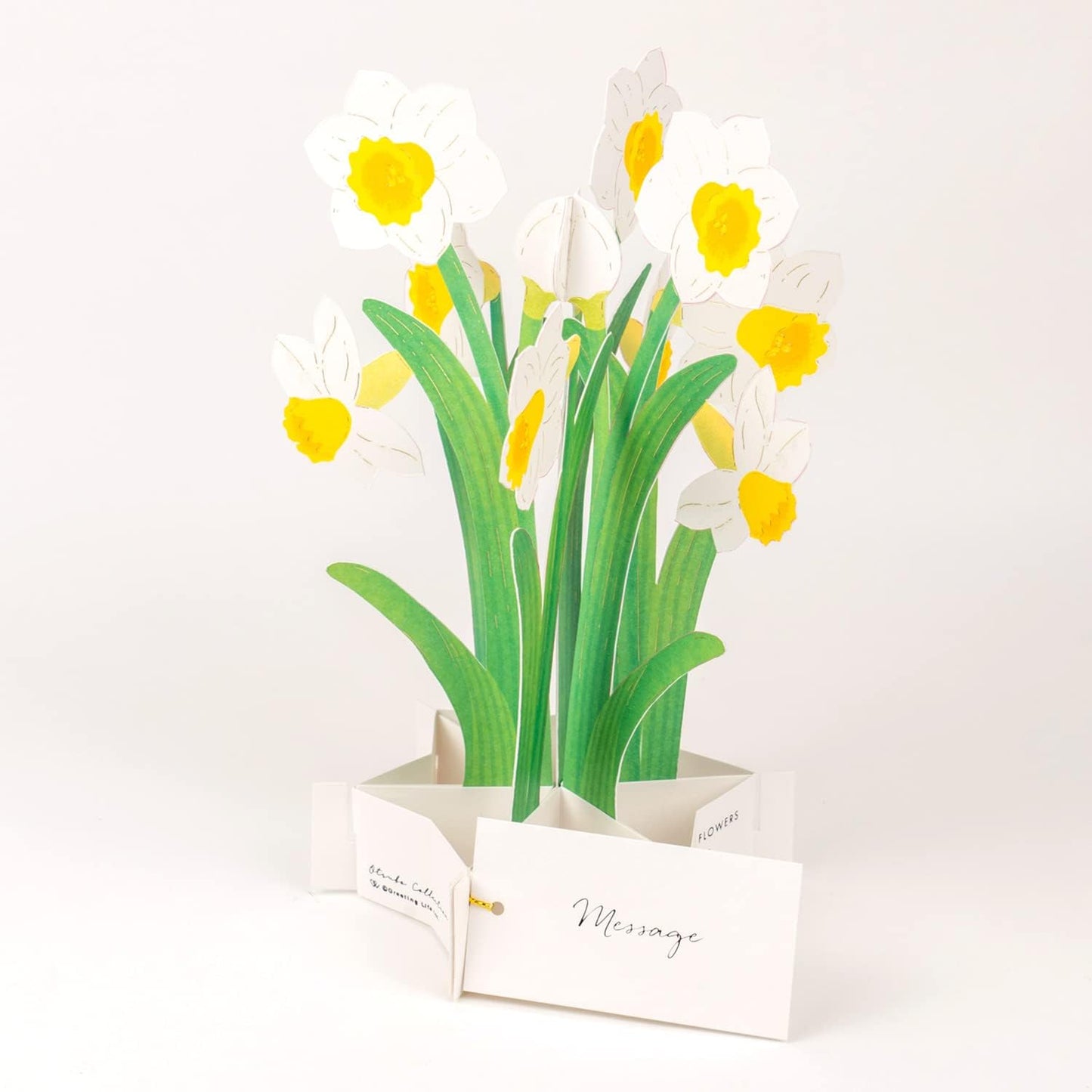 Greeting Life Birthday Blooming Card Daffodil KE-38