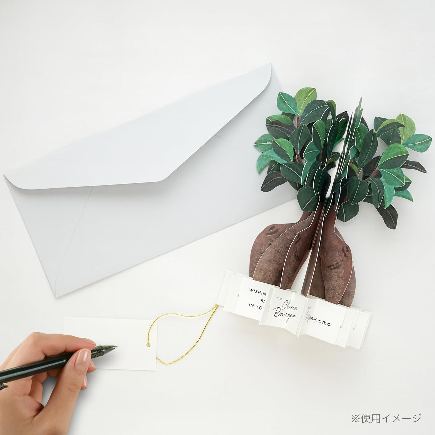 Greeting Life Birthday Blooming Card Banyan House KE-52