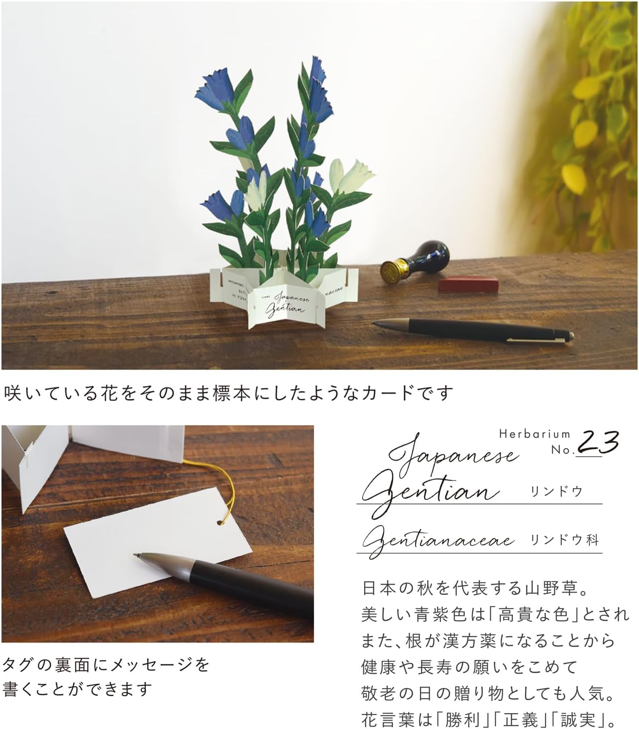 Greeting Life Birthday Blooming Card Multipurpose KE-54