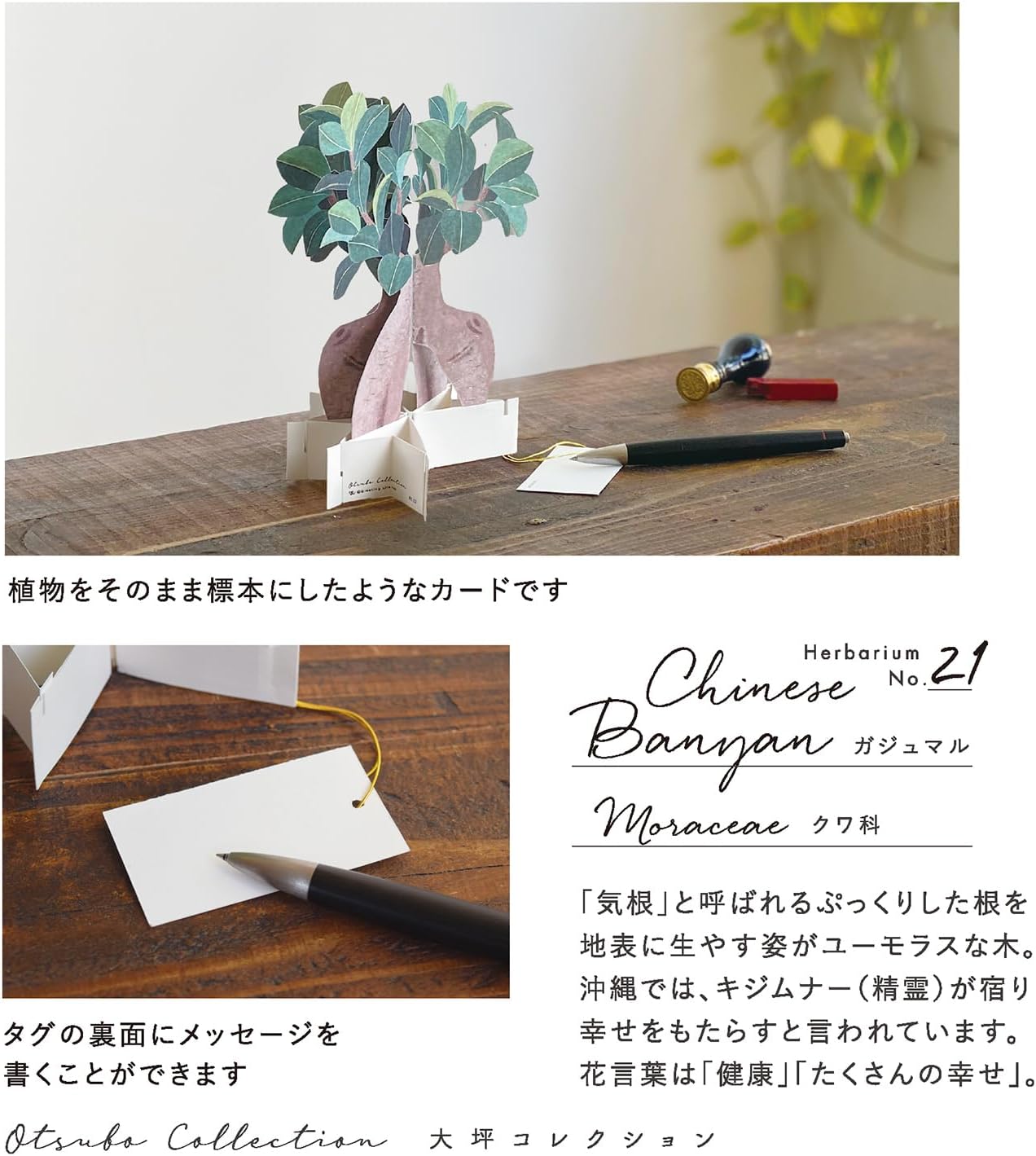 Greeting Life Birthday Blooming Card Banyan House KE-52