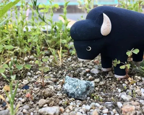 T-lab polepole animal Bison