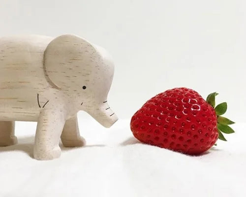 T-lab polepole animal Elephant