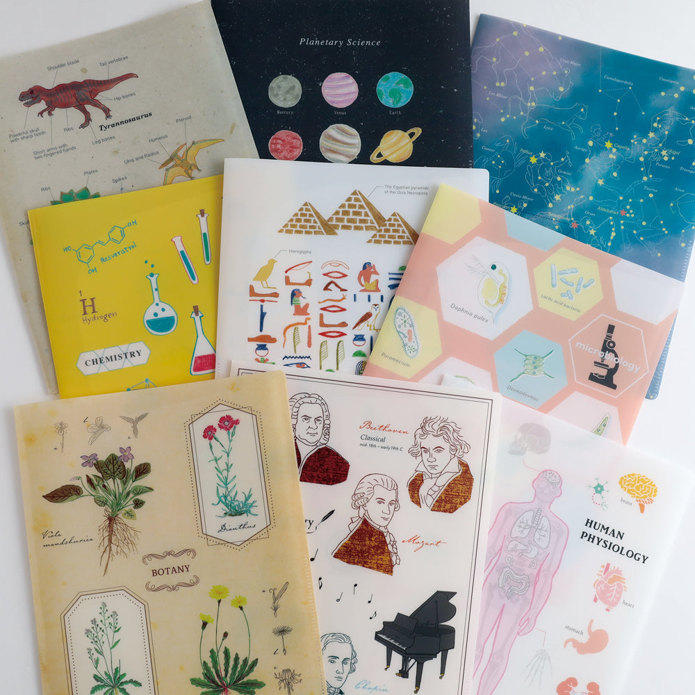 STUDY HOLIC A4 Clear Book File <Human Biology> ST-247