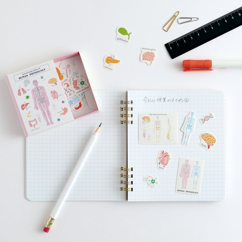 STUDY HOLIC Ring Notebook Square <Human Biology> ST-271