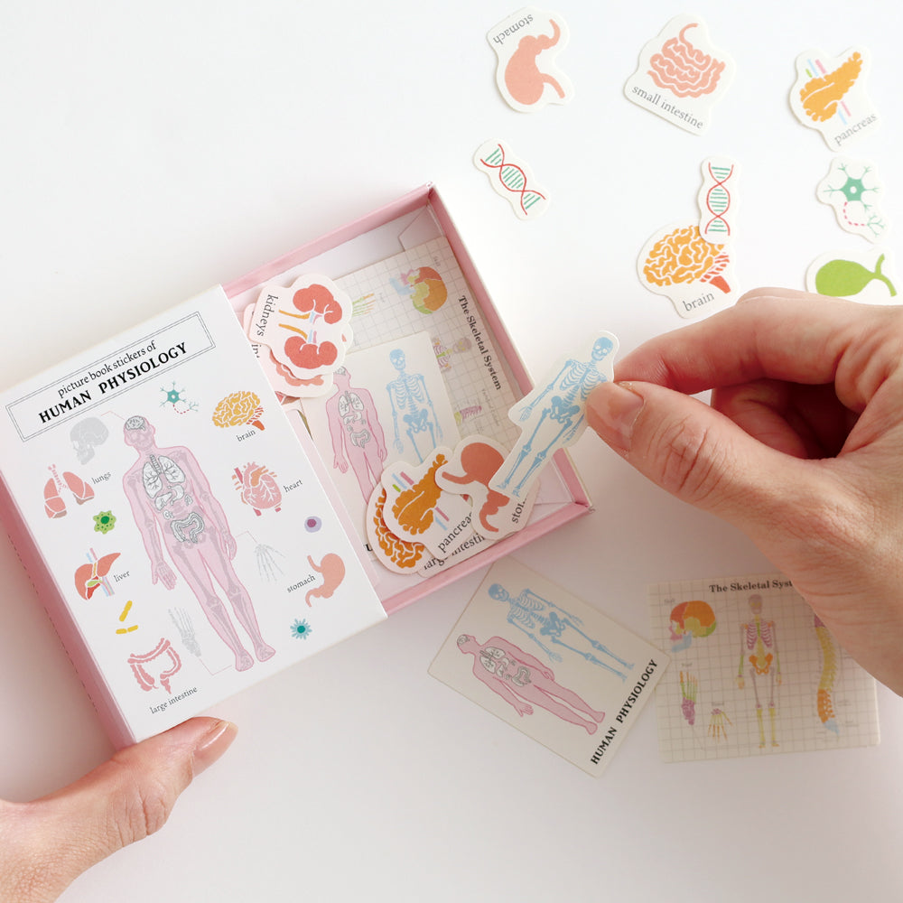 STUDY HOLIC Flake stickers with illustrated case <Astronomy> ST-277