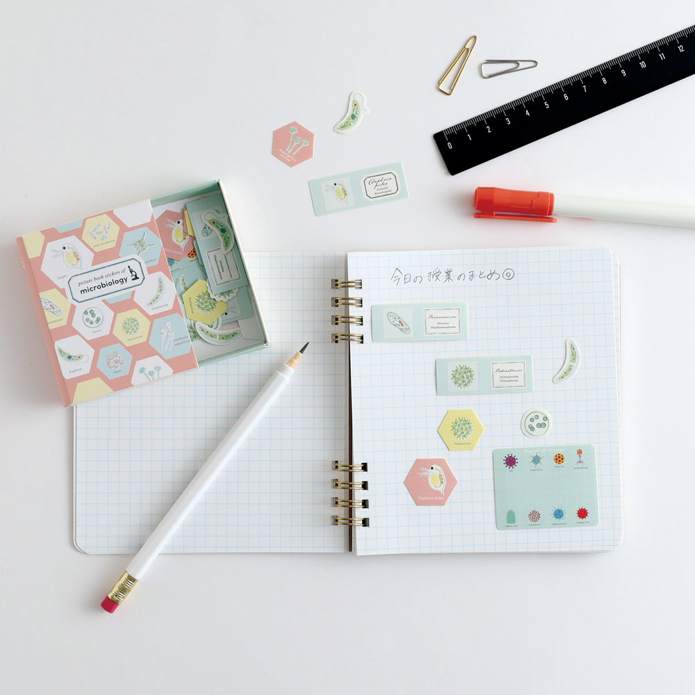 STUDY HOLIC Flake stickers with illustrated case <Astronomy> ST-277