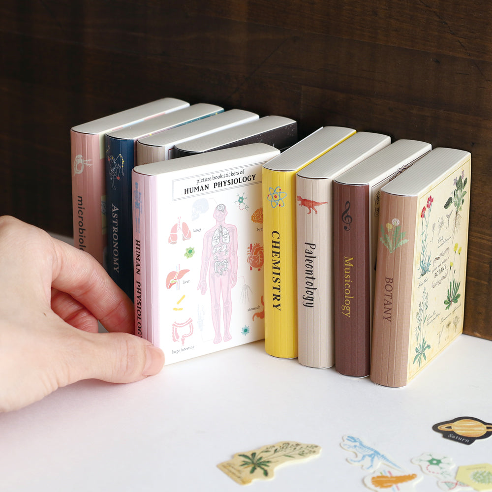 STUDY HOLIC Flake stickers with illustrated case <Astronomy> ST-277