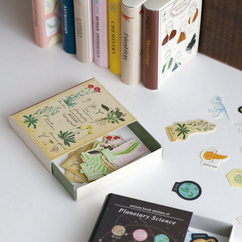 STUDY HOLIC Flake stickers with illustrated case <Astronomy> ST-277
