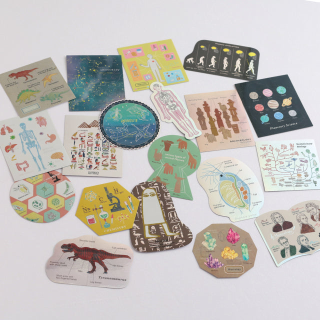 Green Flash STUDY HOLIC Aurora Stickers