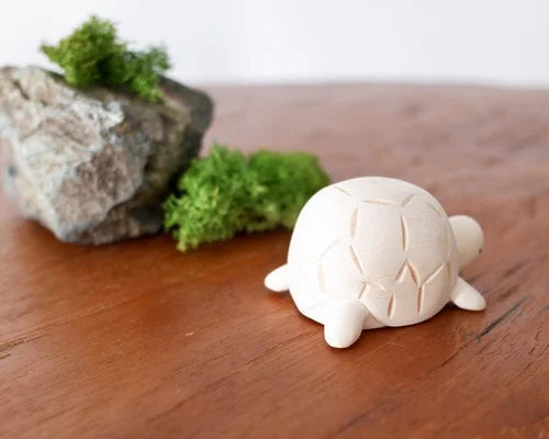 T-lab polepole animal Turtle