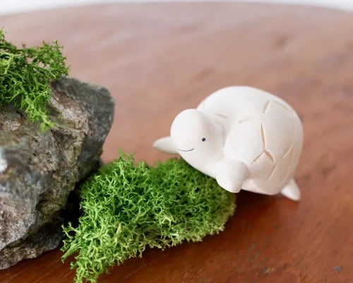 T-lab polepole animal Turtle
