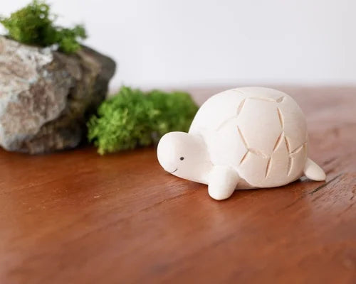 T-lab polepole animal Turtle