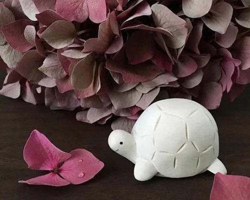 T-lab polepole animal Turtle