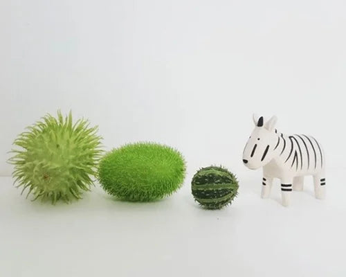 T-lab polepole animal Zebra