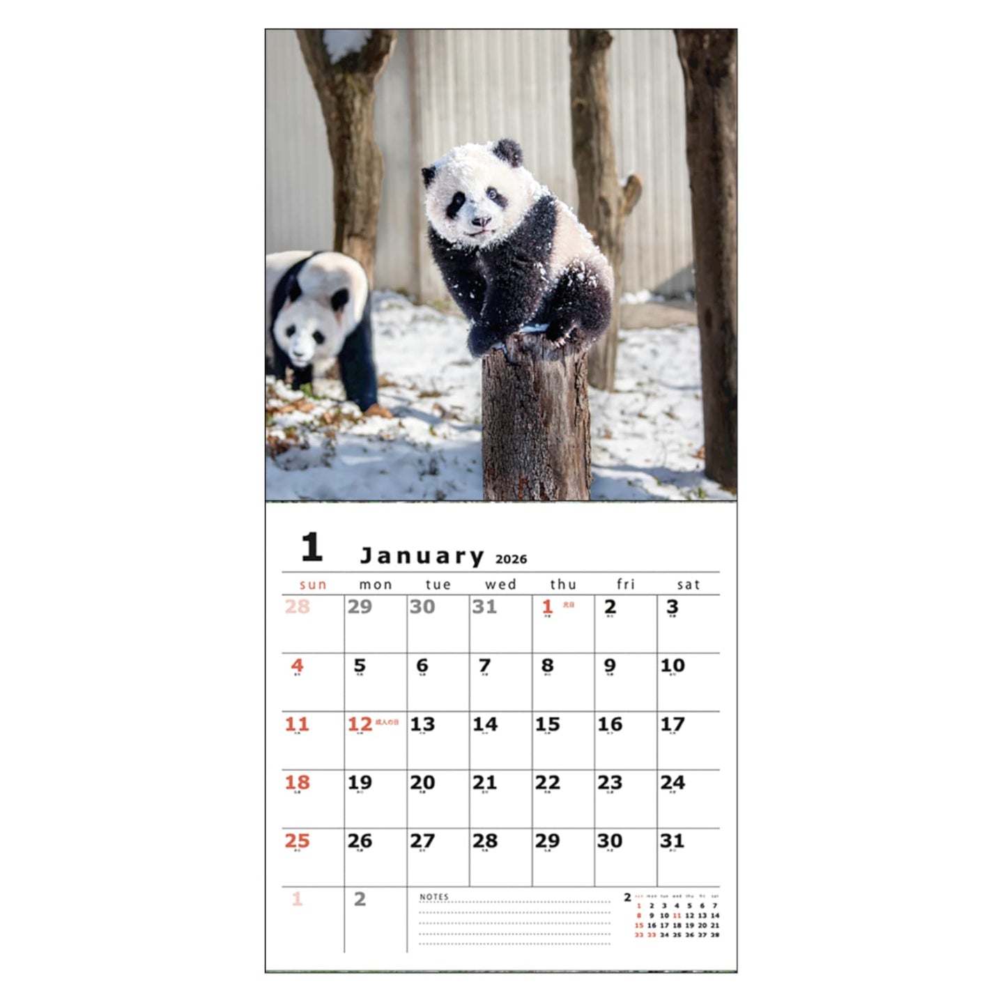 2026 Panda Wall Calendar