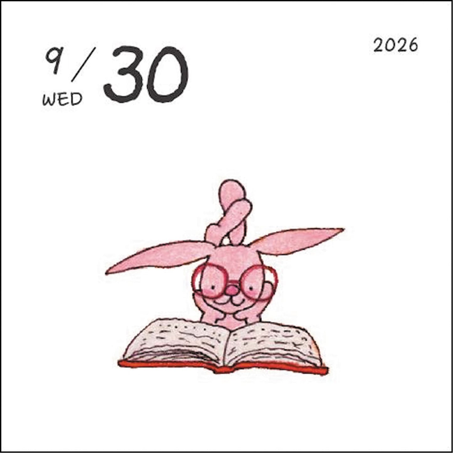 2026 Desk Calendar, Coco-chan, Daily Calendar