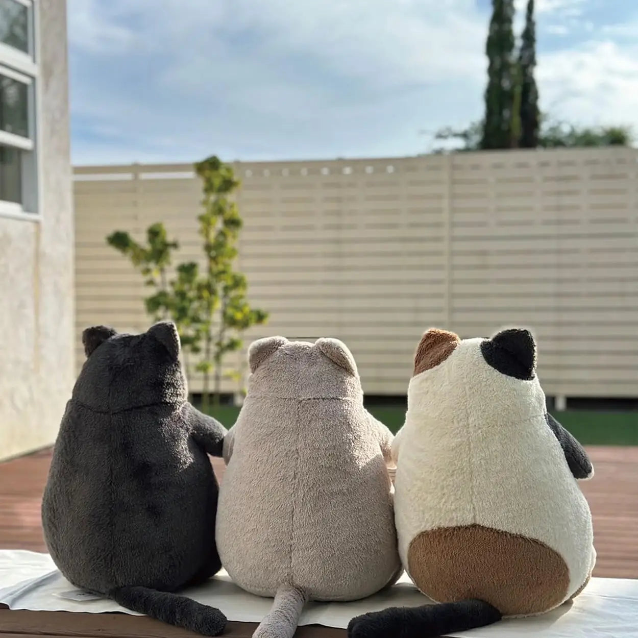 LIV HEART Premium 27722-74 Hugging Pillow, Cat Positivity Black (M)