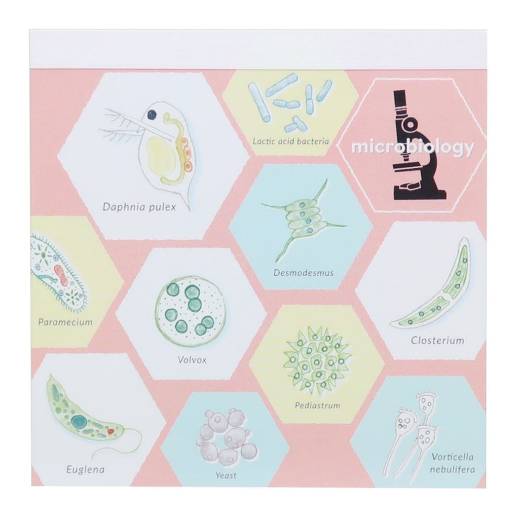 STUDY HOLIC Memo Pad Square Memo Pad Microbiology