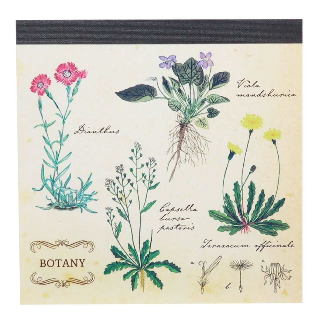 STUDY HOLIC Memo Pad Square Memo Pad Botany Green