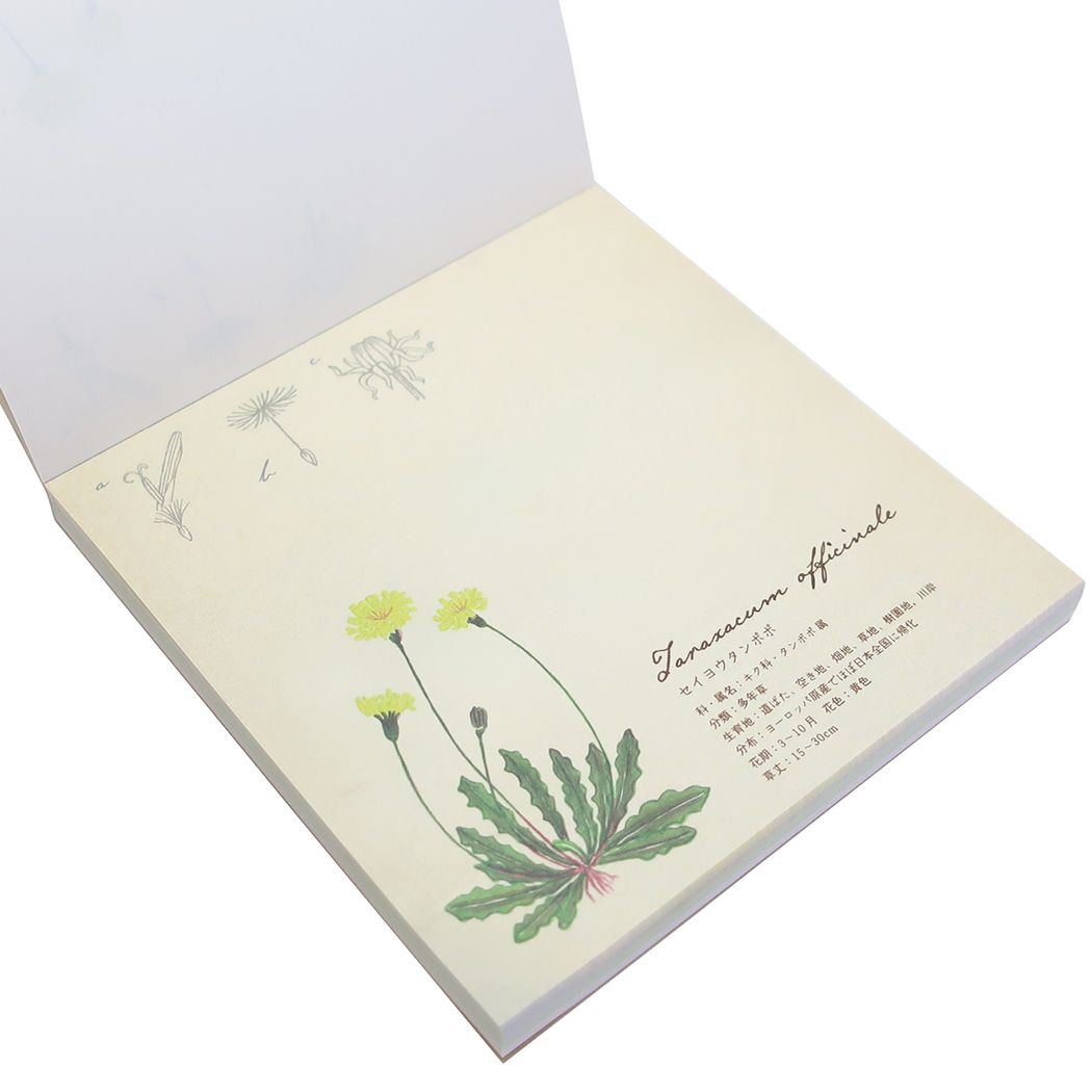 STUDY HOLIC Memo Pad Square Memo Pad Botany Green