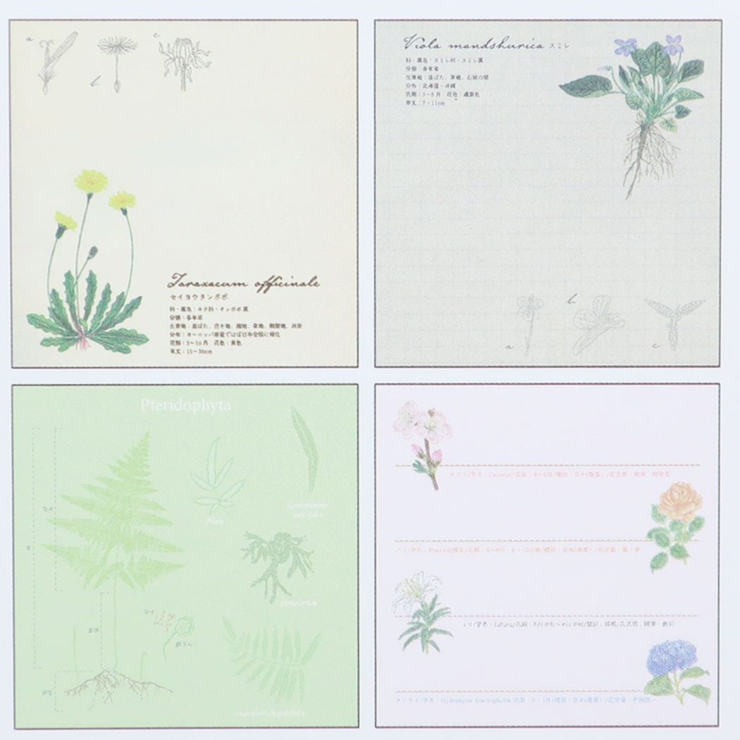 STUDY HOLIC Memo Pad Square Memo Pad Botany Green