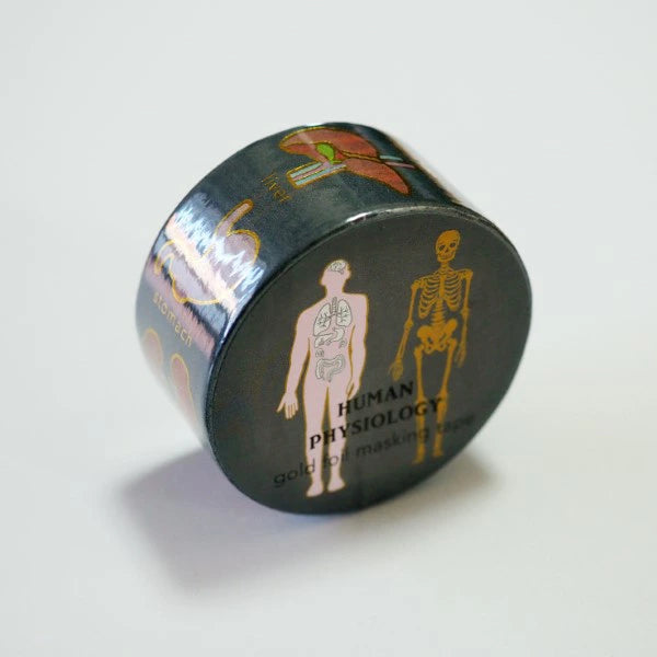 STUDY HOLIC Gold Foil Masking Tape (Human Biology) ST-202