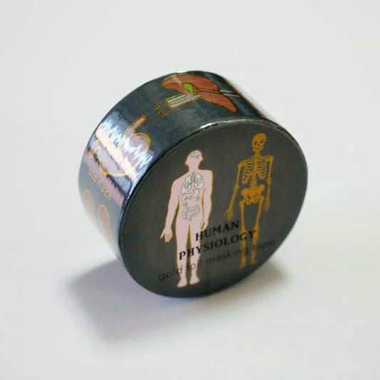 STUDY HOLIC Gold Foil Masking Tape (Human Biology) ST-202
