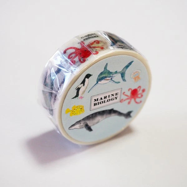 STUDY HOLIC Masking Tape ST-190 (Marine Biology)