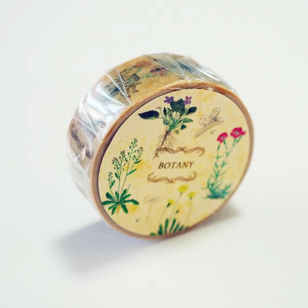 STUDY HOLIC Masking Tape ST-194 (Botany)