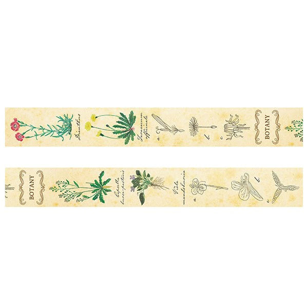 STUDY HOLIC Masking Tape ST-194 (Botany)