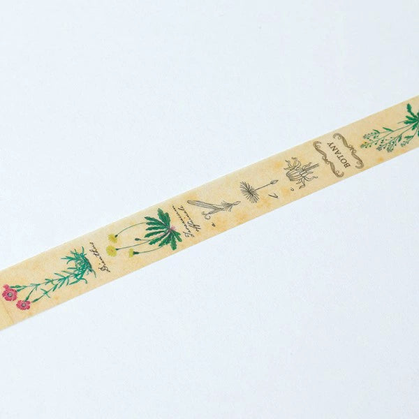 STUDY HOLIC Masking Tape ST-194 (Botany)