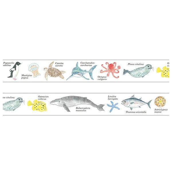 STUDY HOLIC Masking Tape ST-190 (Marine Biology)