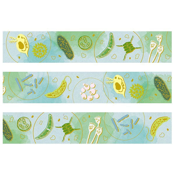 STUDY HOLIC Gold Foil Masking Tape (Microbiology) ST-201