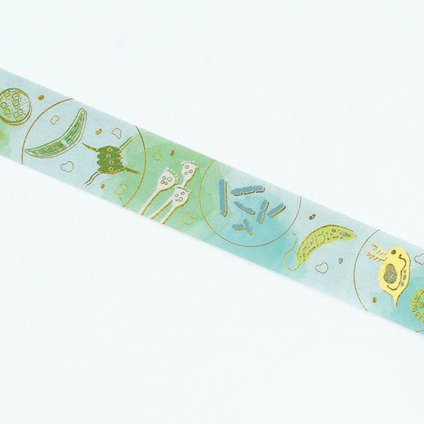 STUDY HOLIC Gold Foil Masking Tape (Microbiology) ST-201