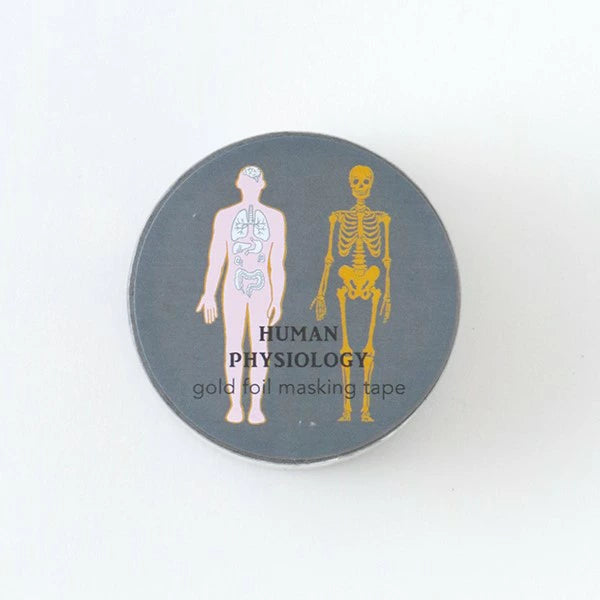 STUDY HOLIC Gold Foil Masking Tape (Human Biology) ST-202