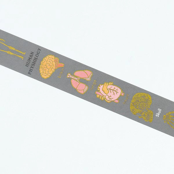 STUDY HOLIC Gold Foil Masking Tape (Human Biology) ST-202