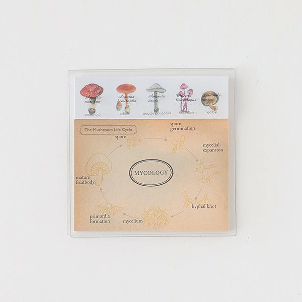 STUDY HOLIC Clear Cover Sticky Notes ST-177 Mycology