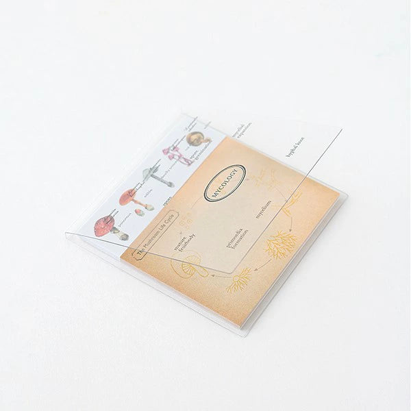 STUDY HOLIC Clear Cover Sticky Notes ST-177 Mycology