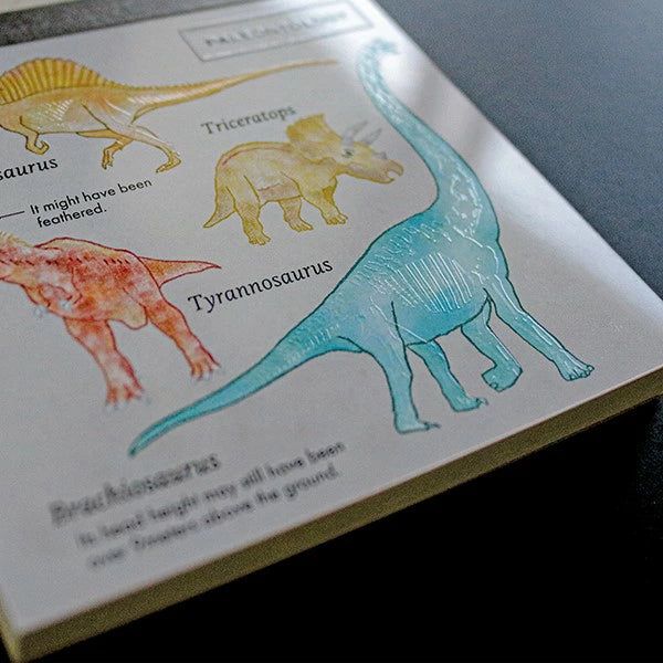 STUDY HOLIC Memo Pad Square ST-160 Paleontology/New Theory