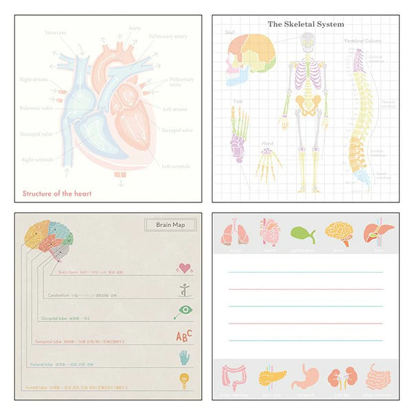 STUDY HOLIC Memo Pad Square ST-164 Human Biology
