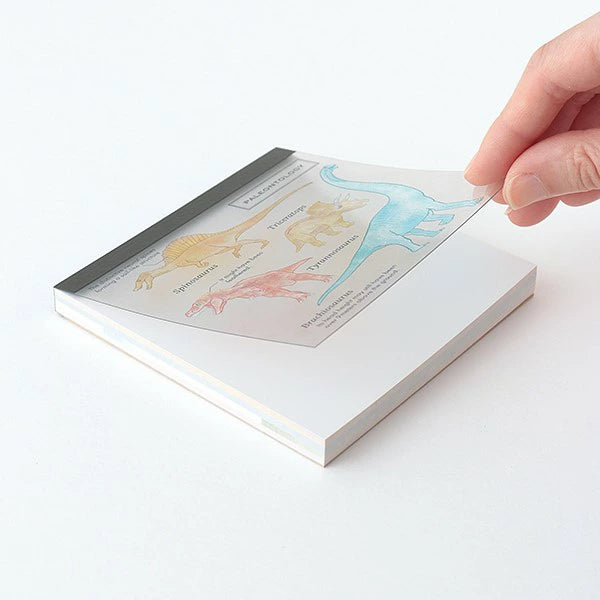 STUDY HOLIC Memo Pad Square ST-160 Paleontology/New Theory