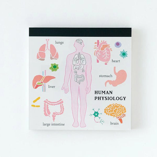 STUDY HOLIC Memo Pad Square ST-164 Human Biology