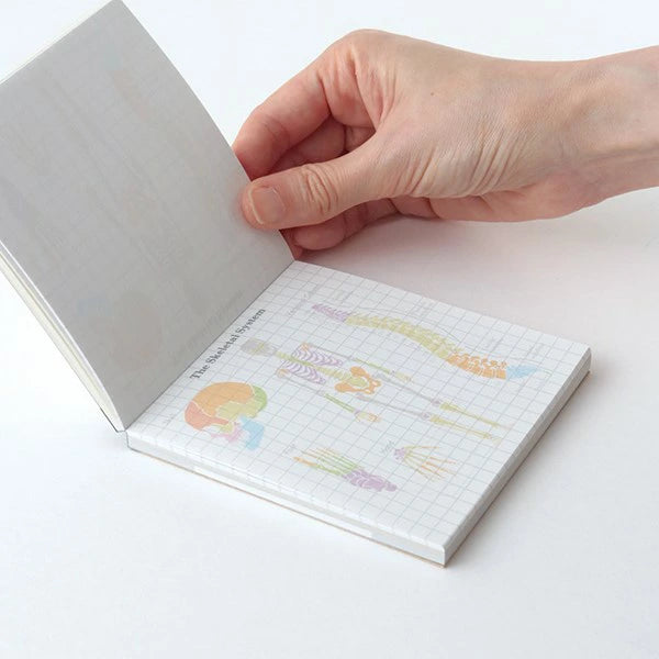 STUDY HOLIC Memo Pad Square ST-164 Human Biology