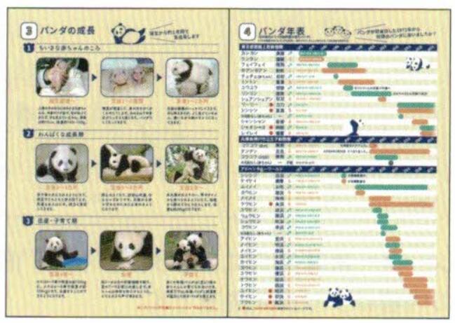 2026 Panda A6 soft cover monthly planner