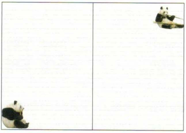 2026 Panda A6 soft cover monthly planner