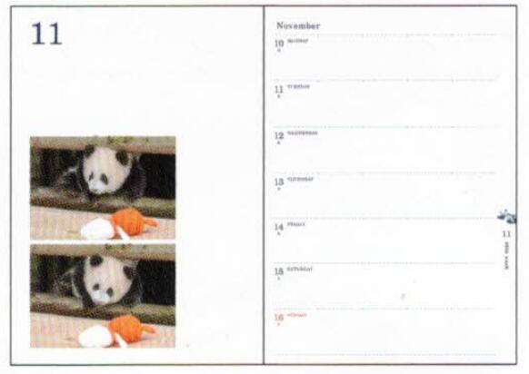 Panda 2026 B6 soft cover notebook Ohirune