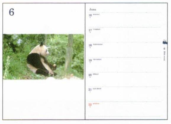 Panda 2026 B6 soft cover notebook Ohirune