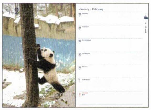 Panda 2026 B6 soft cover notebook Ohirune