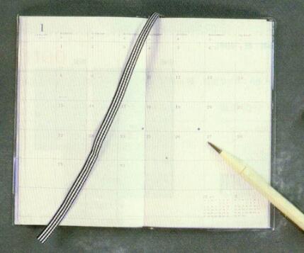 2025 CHIC B6 Slim Diary Heart