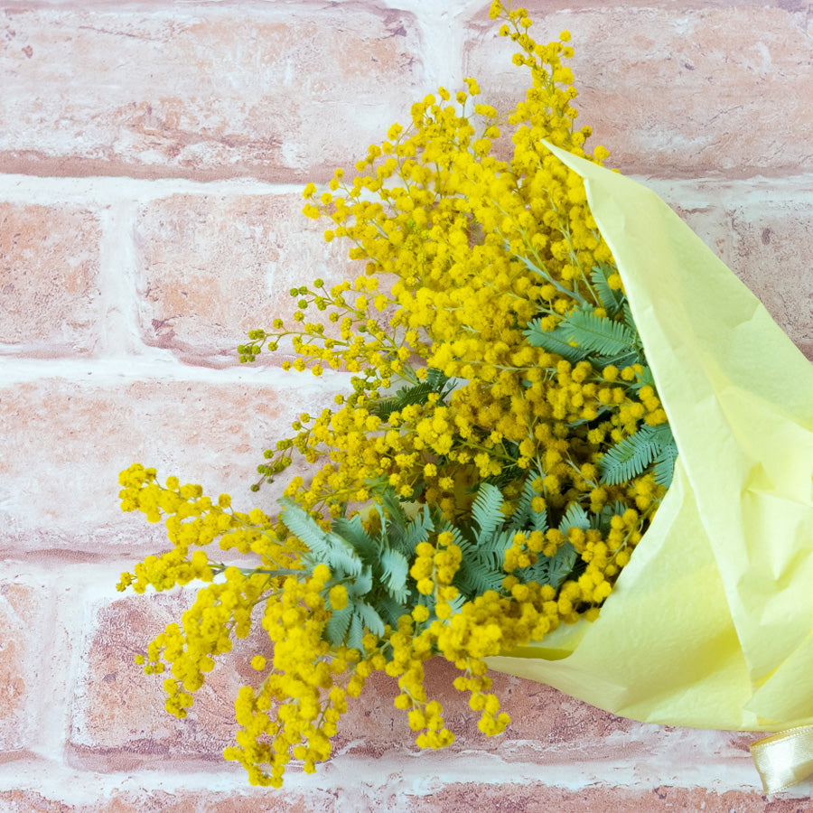 MIMOSA Bonbonniere Large Black/White Lacquer K03-MA1005 (Copy)